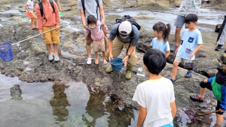 江の島海岸生物観察会6